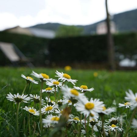 Apartamento Con Jardin En La Cerdanya Err Buitenkant foto