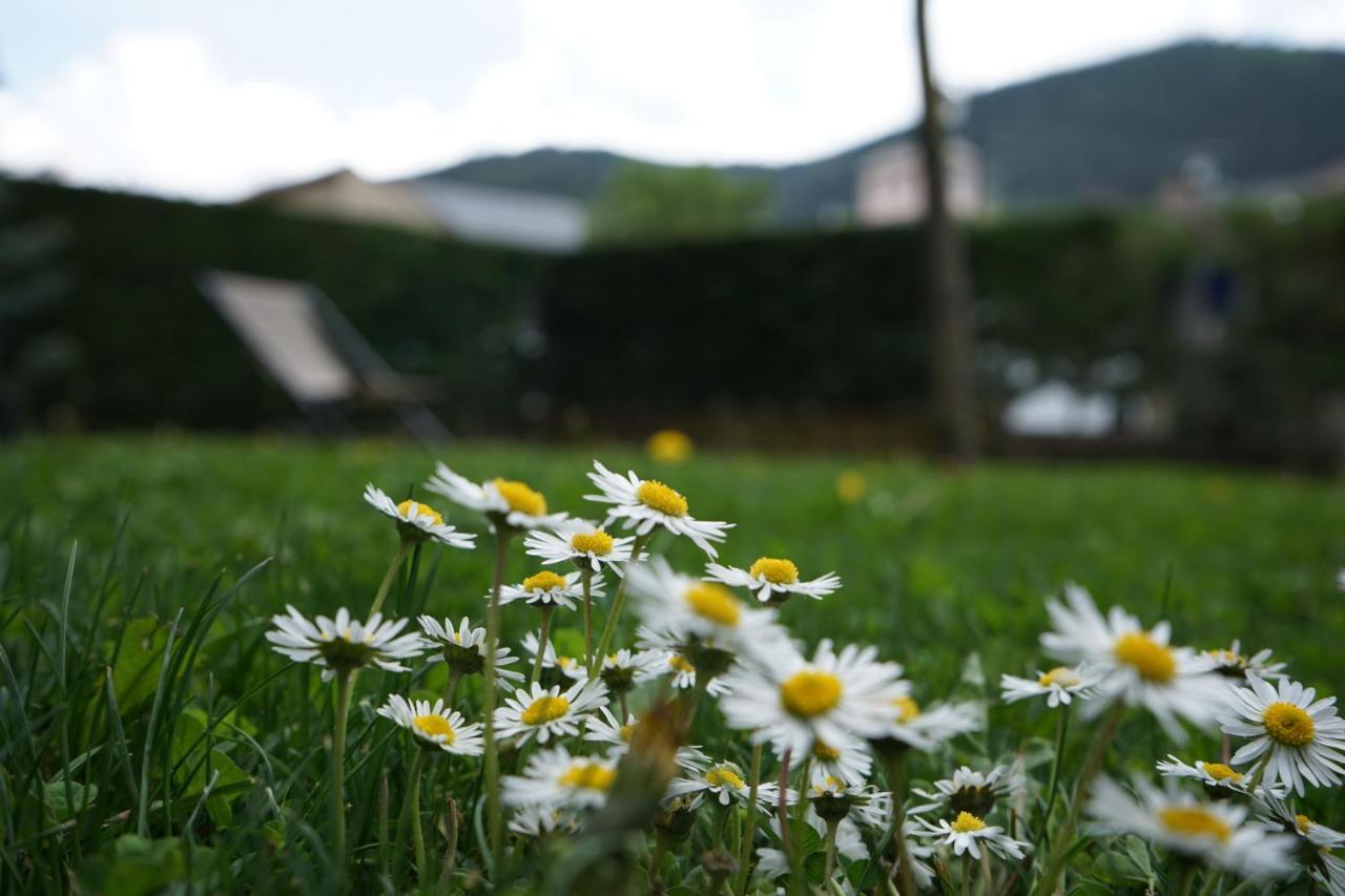 Apartamento Con Jardin En La Cerdanya Err Buitenkant foto