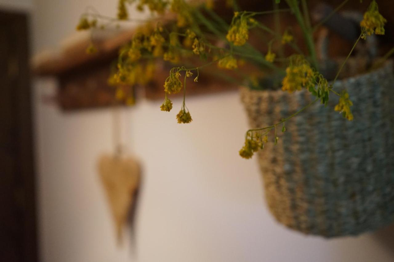 Apartamento Con Jardin En La Cerdanya Err Buitenkant foto